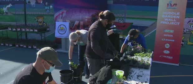Super Bowl: NFL Staffers, Volunteers Hold Day Of Service In South LA 