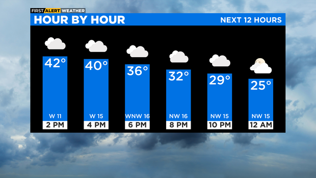 Bar Graph Next 12 Hours (7) 