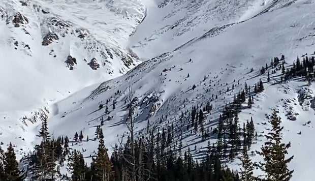 sumco avalanche wilson 
