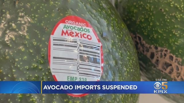 avocado-import-ban.jpg 