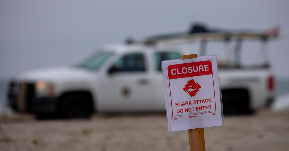 Някои плажове на Флорида Панхендъл затвориха след докладвани атаки на акули