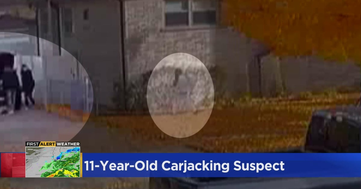 11-Year-Old Boy Charged In Mount Greenwood Armed Carjacking Expected In ...