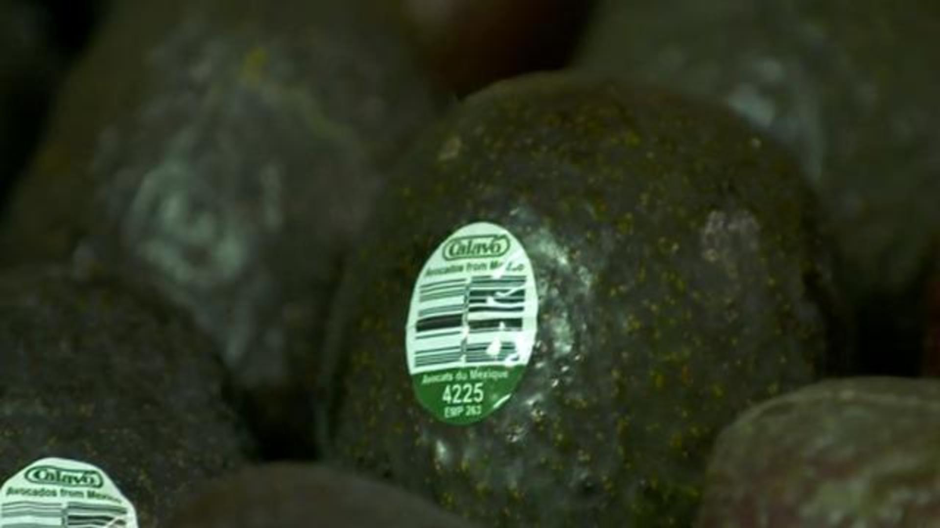 Avocados From Mexico Avocados Bagged (5 ct)