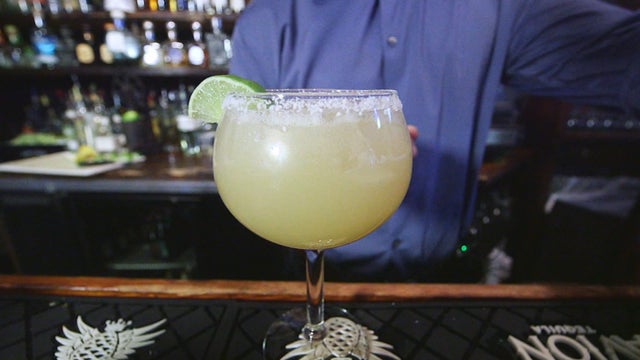 05VO_NATL-MARGARITA-DAY_frame_276.jpg 