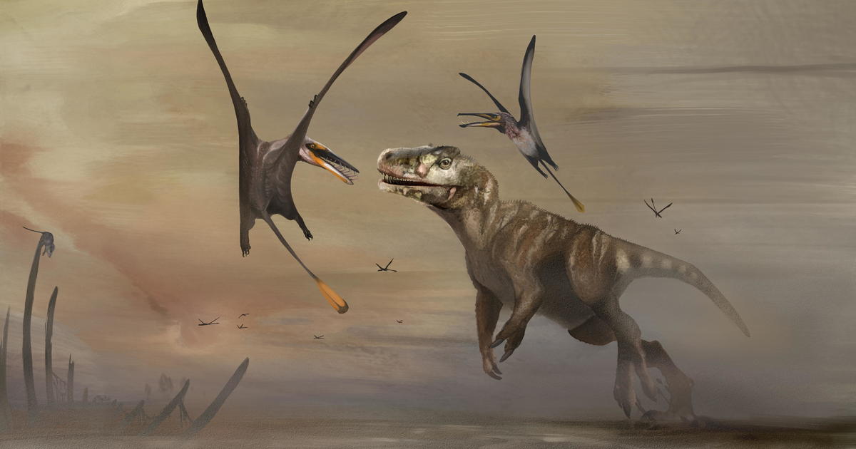 Fossil of 170-million-year-old flying reptile unearthed in Scotland is 