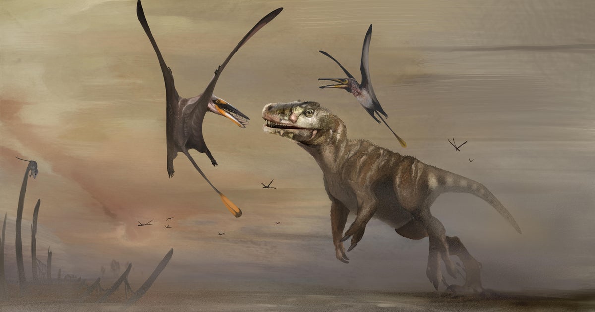 Meet Kryptodrakon: Oldest Known Pterodactyl Found in China