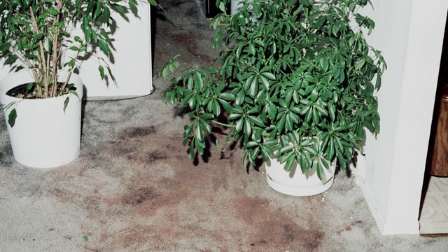 Crime scene evidence 