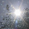 summer-sun-1.jpg 