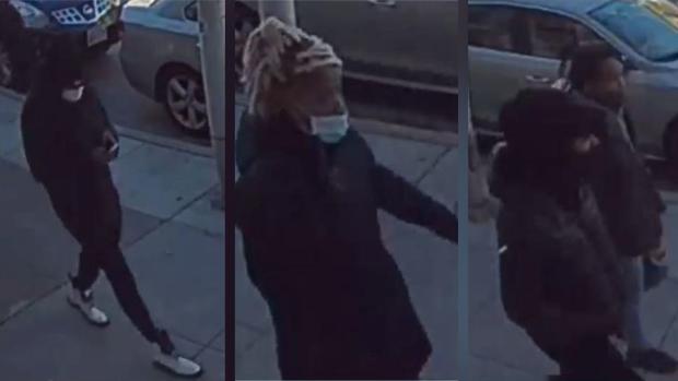 Suspects in dog robbery 