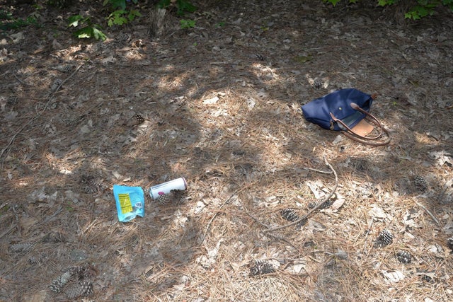 Ally Kostial crime scene