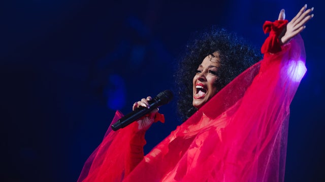 Crowd at Stern Grove