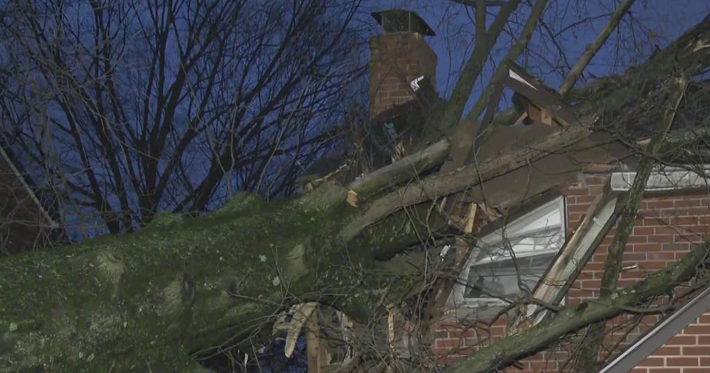 Tree Falls On Home In Penn Hills - CBS Pittsburgh