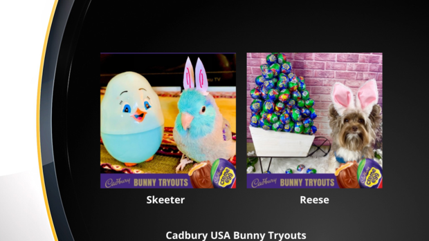 cadbury-bunny-skeeter-reese 