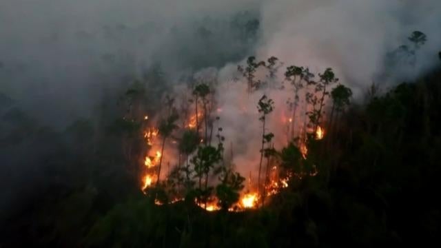 cbsn-fusion-three-wildfires-burning-the-florida-panhandle-near-panama-city-thumbnail-917227-640x360.jpg 
