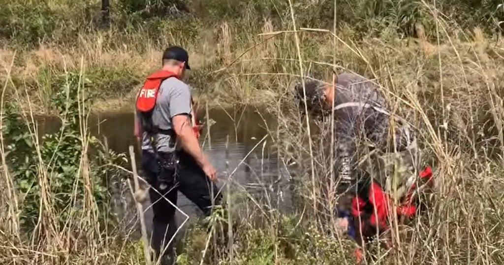 Divers Search Florida Park After Human Remains Found In Gator's Mouth ...