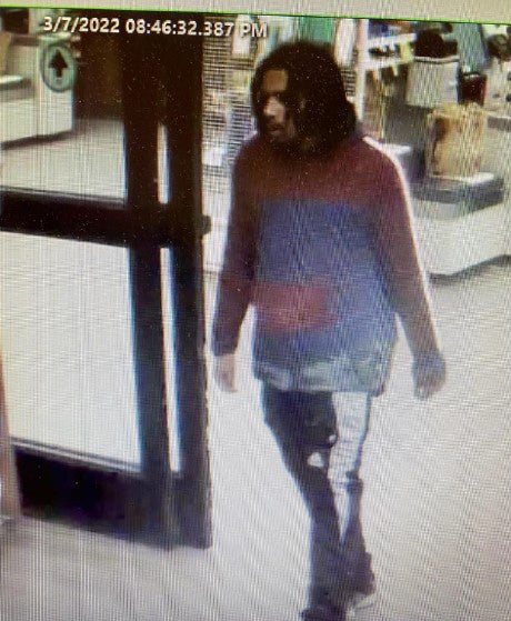 Puppy Theft 2 (suspect, DPD and Crime Stoppers) copy 