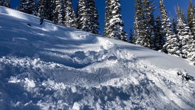 Wyoming-Snowmobile-Avalanche-2-CAIC.jpg 