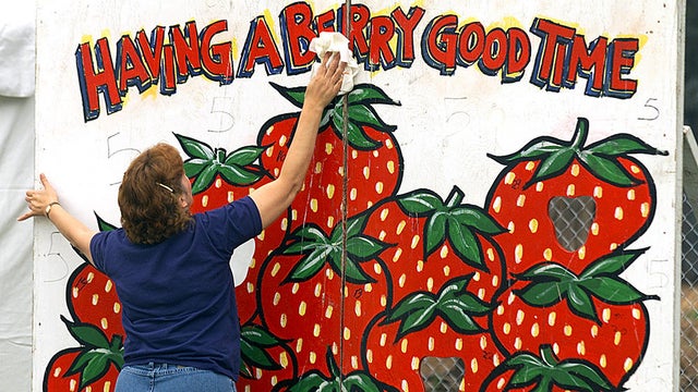 Wendy Springer cleans board used for the strawberry tart toss contest held during the California Str 