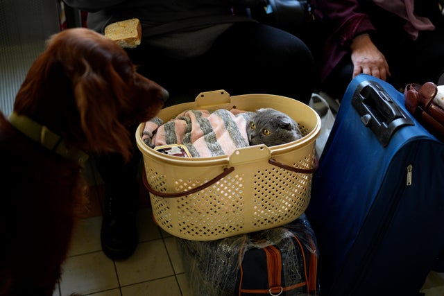 Poland Russia Ukraine War 