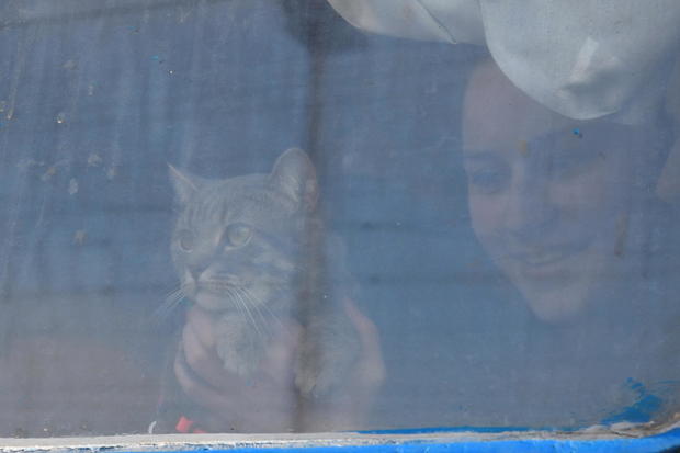 A woman is seen with her cat through the carriage window of 