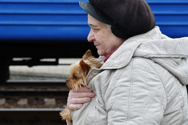 A women with her dog walks towards the evacuation train 