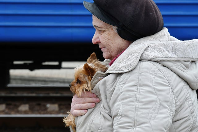 A women with her dog walks towards the evacuation train in 