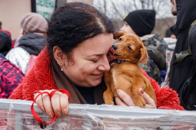 Refugees on Ukrainian-Slovak international border 