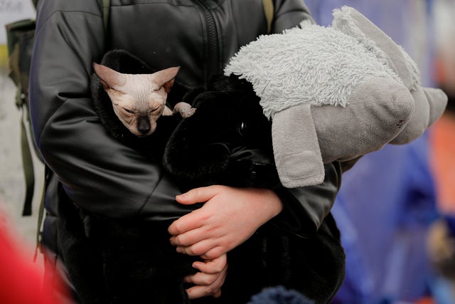 Romania Russia Ukraine War 