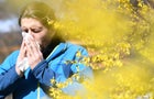 Person sneezing with pollen allergies 