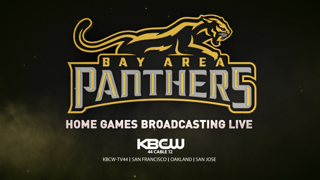 BA-PANTHERS-Banner-1074x576-001.png 