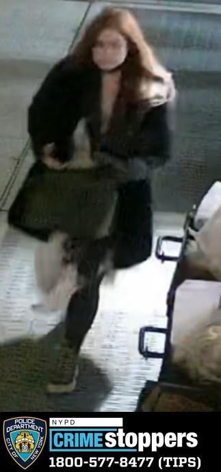 Police arrest Lauren Pazienza, 26, in fatal shoving of 87yearold