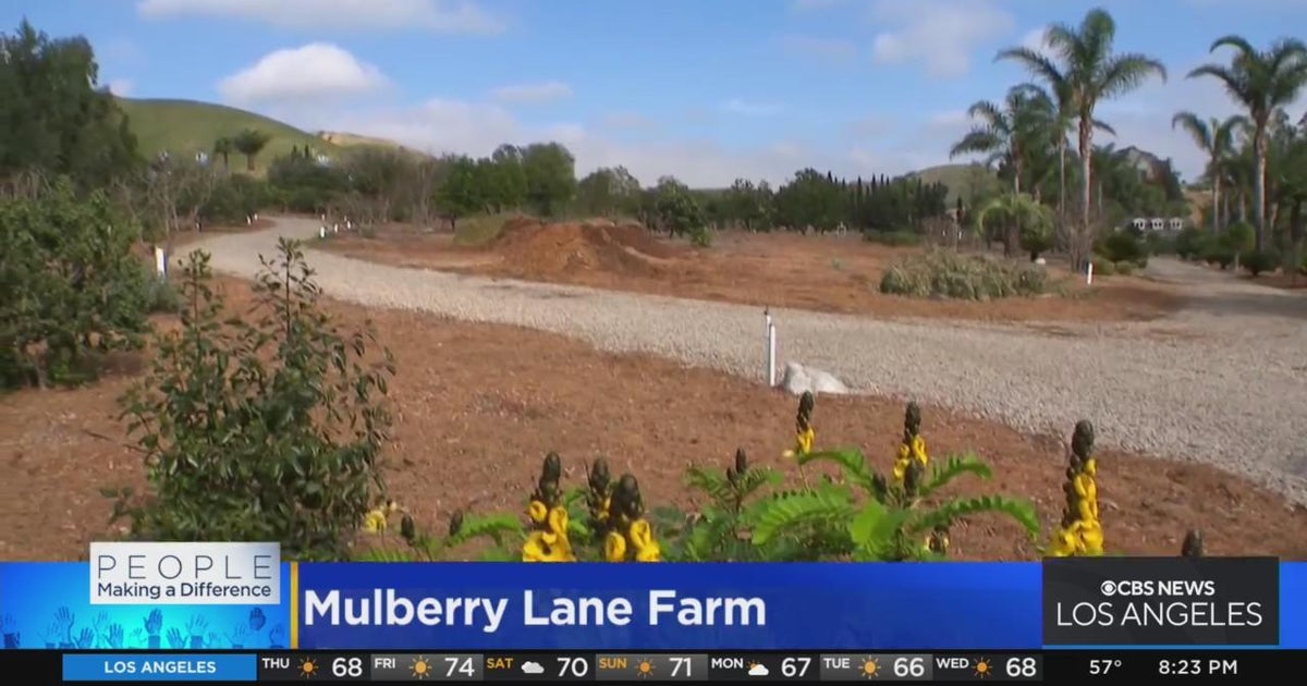 People Making a Difference Mulberry Lane Farm CBS Los Angeles