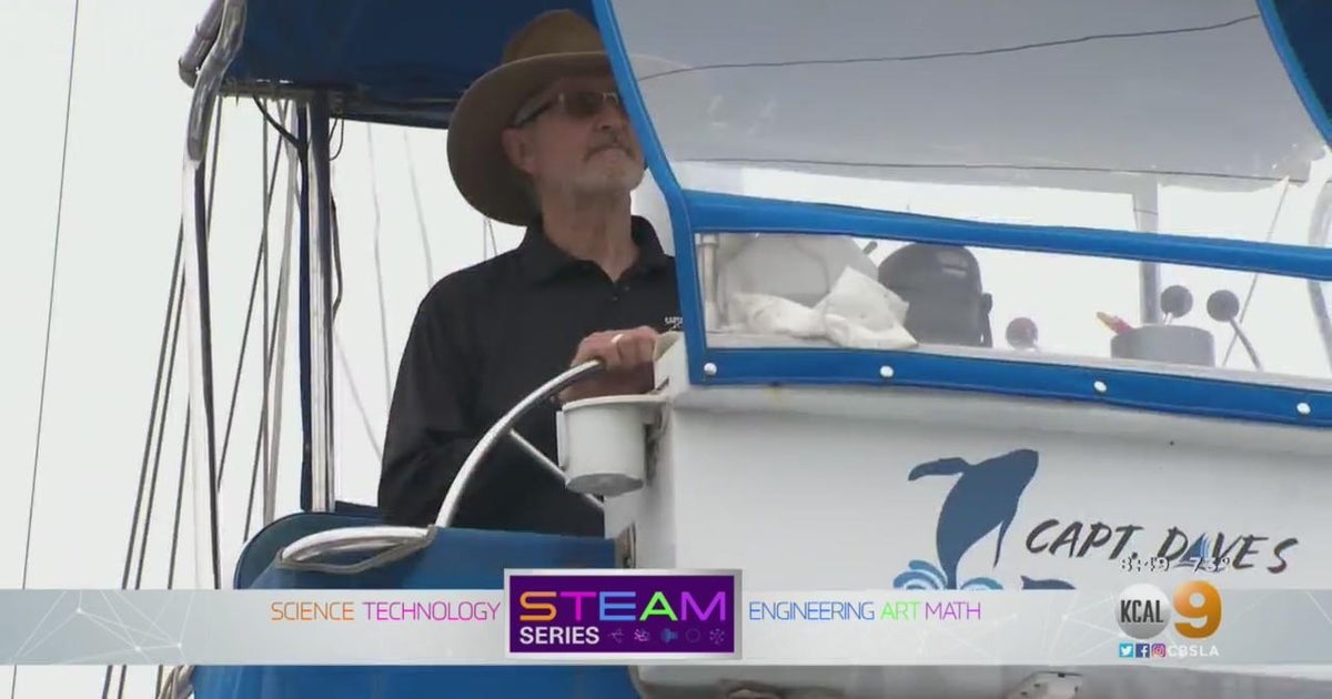 STEAM: Meet A Dolphin Finder - CBS Los Angeles