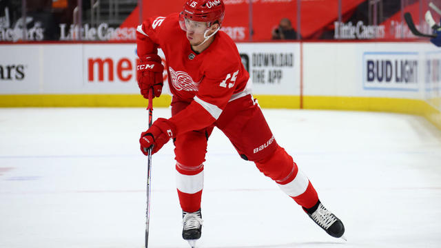 Red Wings Forward Enters NHL Jakub Vrana Assistance Program