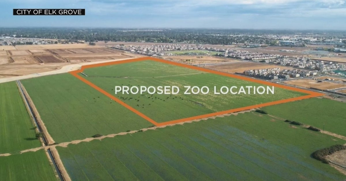 Elk Grove Votes To Move Forward With Building New Zoo Good Day Sacramento