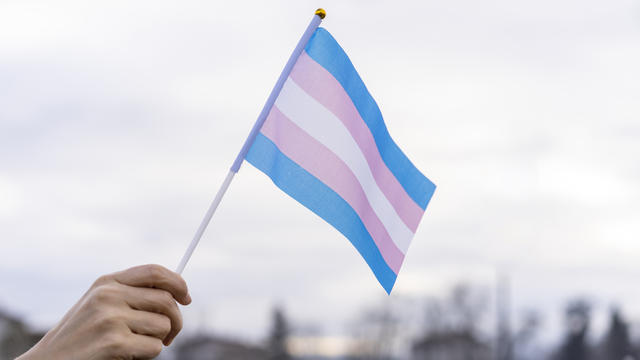 Transgender flag 