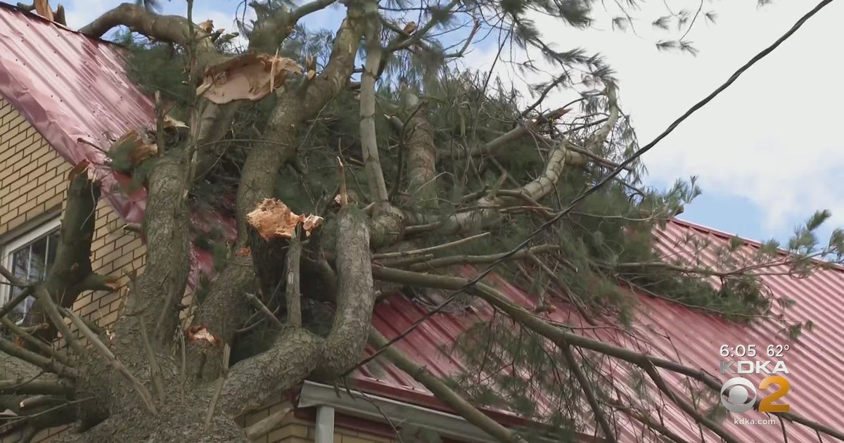 National Weather Service: EF2 Tornado Confirmed In Wayne Township ...