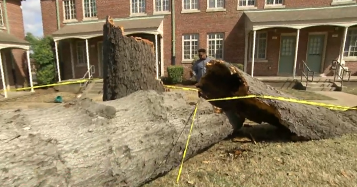 East Coast braces for another night of dangerous storms after severe ...