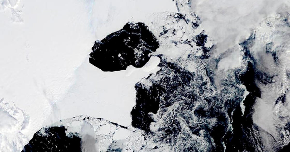 East Antarctica ice shelf collapses — and scientists are worried - CBS News