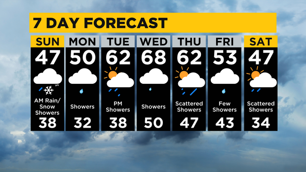 7 Day Forecast 