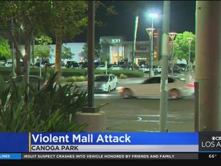 Person attacked by suspects during jewelry store robbery at Westfield Topanga  mall in Canoga Park - ABC7 Los Angeles