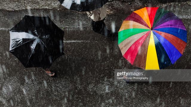 Umbrella.jpg 