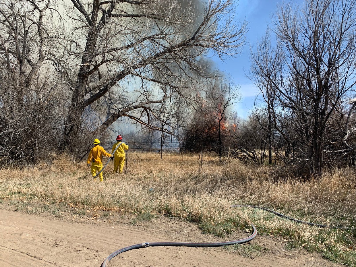 Pueblo Wildfire Burning Near PAWS For Life Animal Shelter CBS Colorado