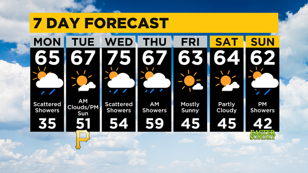 7 Day Forecast 