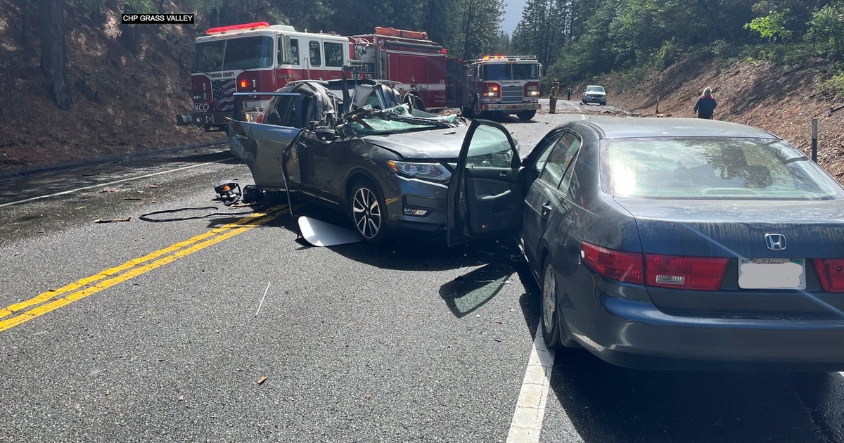 Tree Falls On Car, Causing Deadly Crash On Highway 49 In Nevada County ...