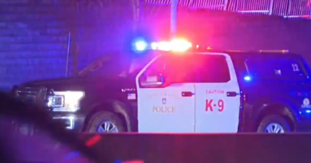 Woman dies after being stuck by car on McKnight Road CBS Pittsburgh