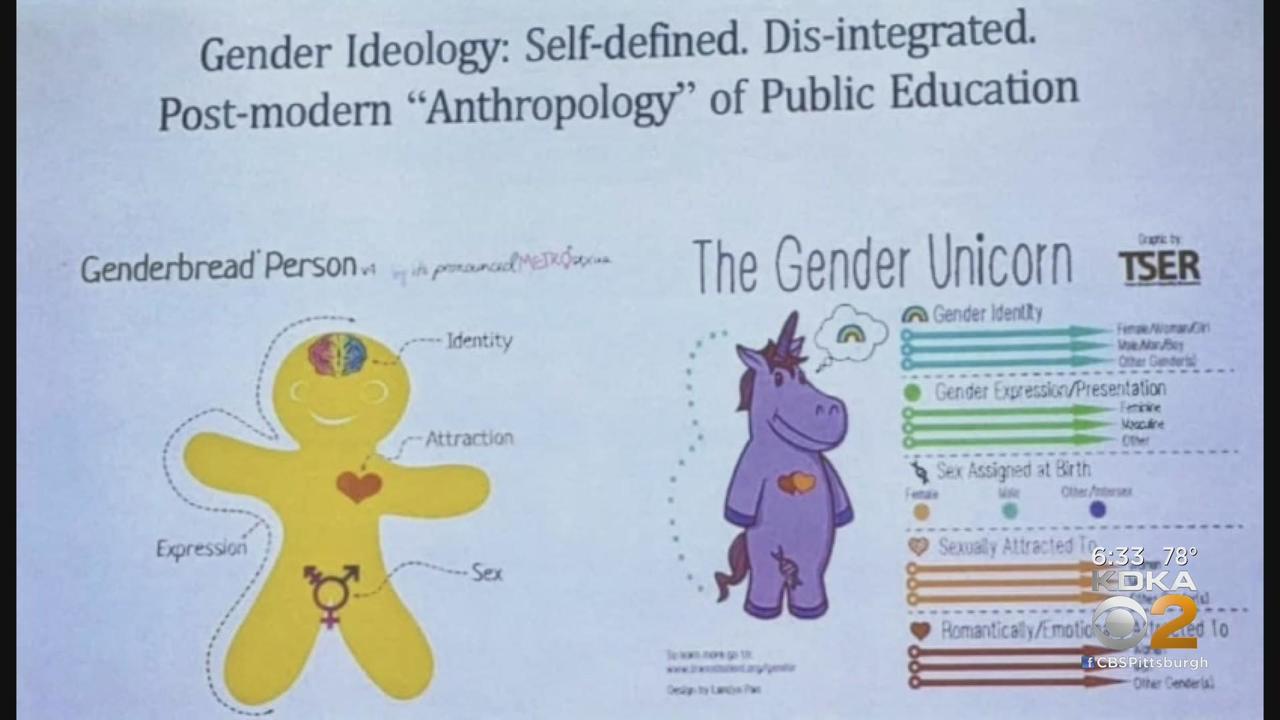 State Rep. Aaron Bernstine looking into 'gender unicorn' taught to  education students - CBS Pittsburgh