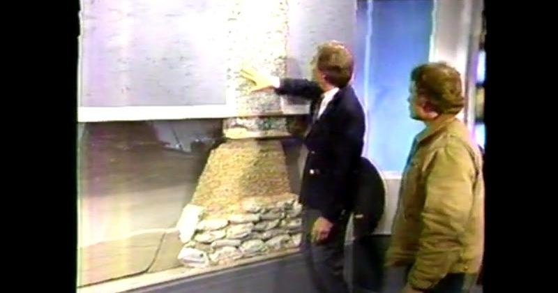 CBS 2 Vault A model to understand what happened in the 1992 Chicago