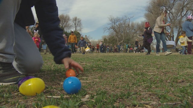 Easter-Egg-Hunt-DA-01-concatenated-105424_frame_59992.jpeg 