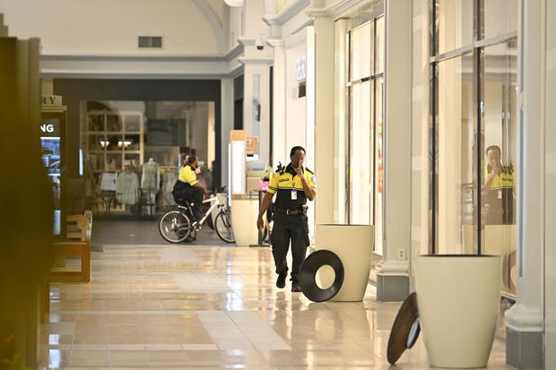 10 shot in shopping mall in US state of South Carolina 